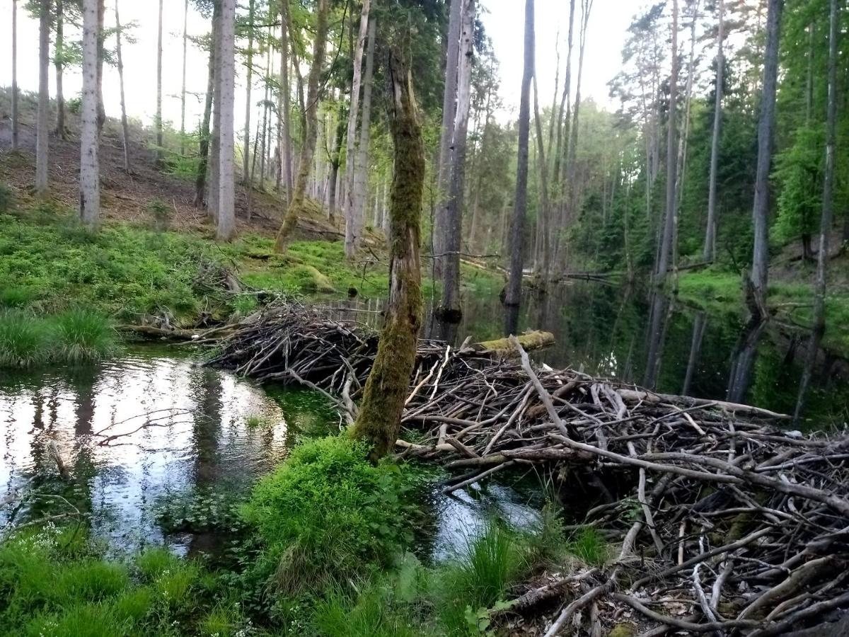 Domek Letniskowy Na Kaszubach, Borowy Mlyn, Jezioro Gwiazda Villa Luaran gambar